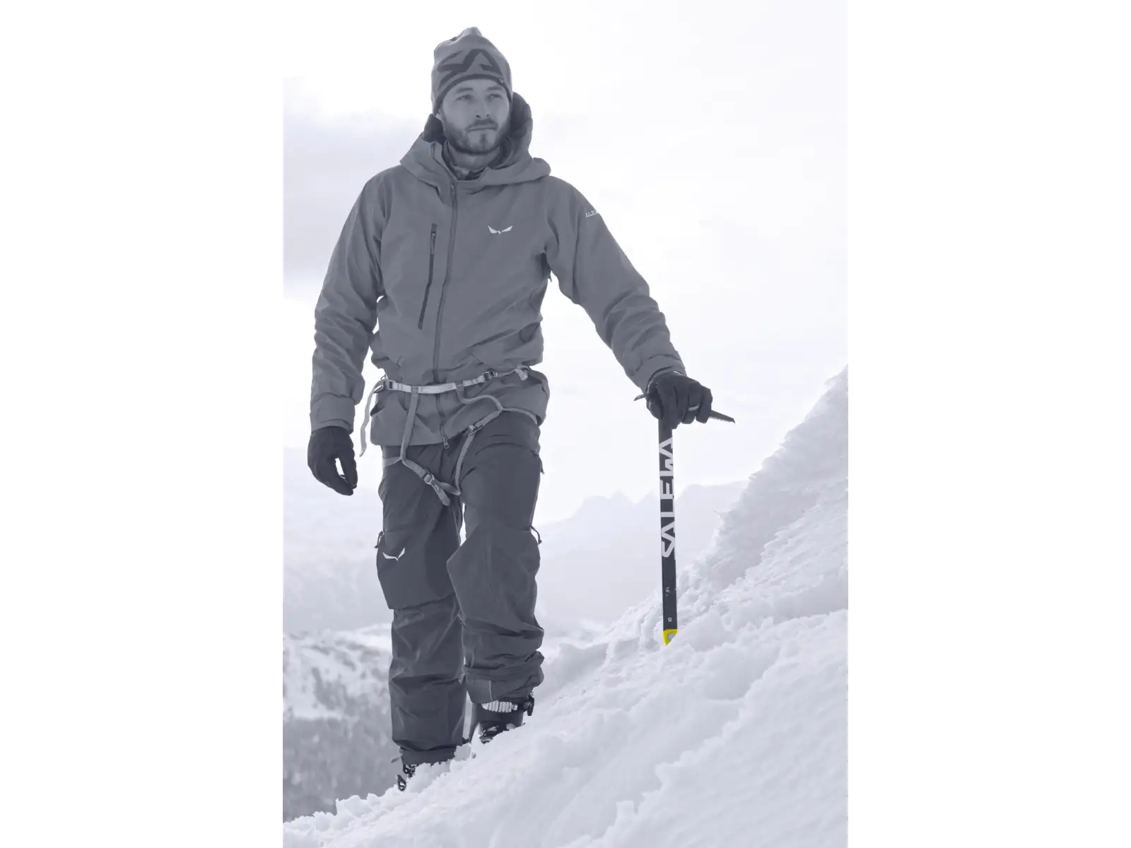 Salewa Alpine-X Eispickel