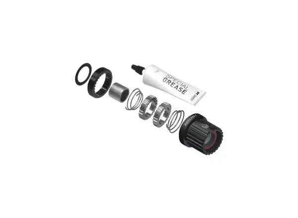DT Swiss Kit Ratchet LN Shimano MicroSpline MTB Alu - Umrüstkit für Naben von 3pawls auf Rat