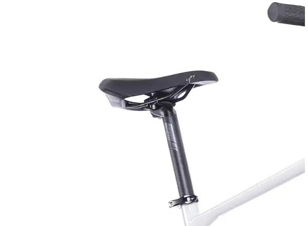 Superior iXP 6.5 E-Mountainbike Gloss Grey