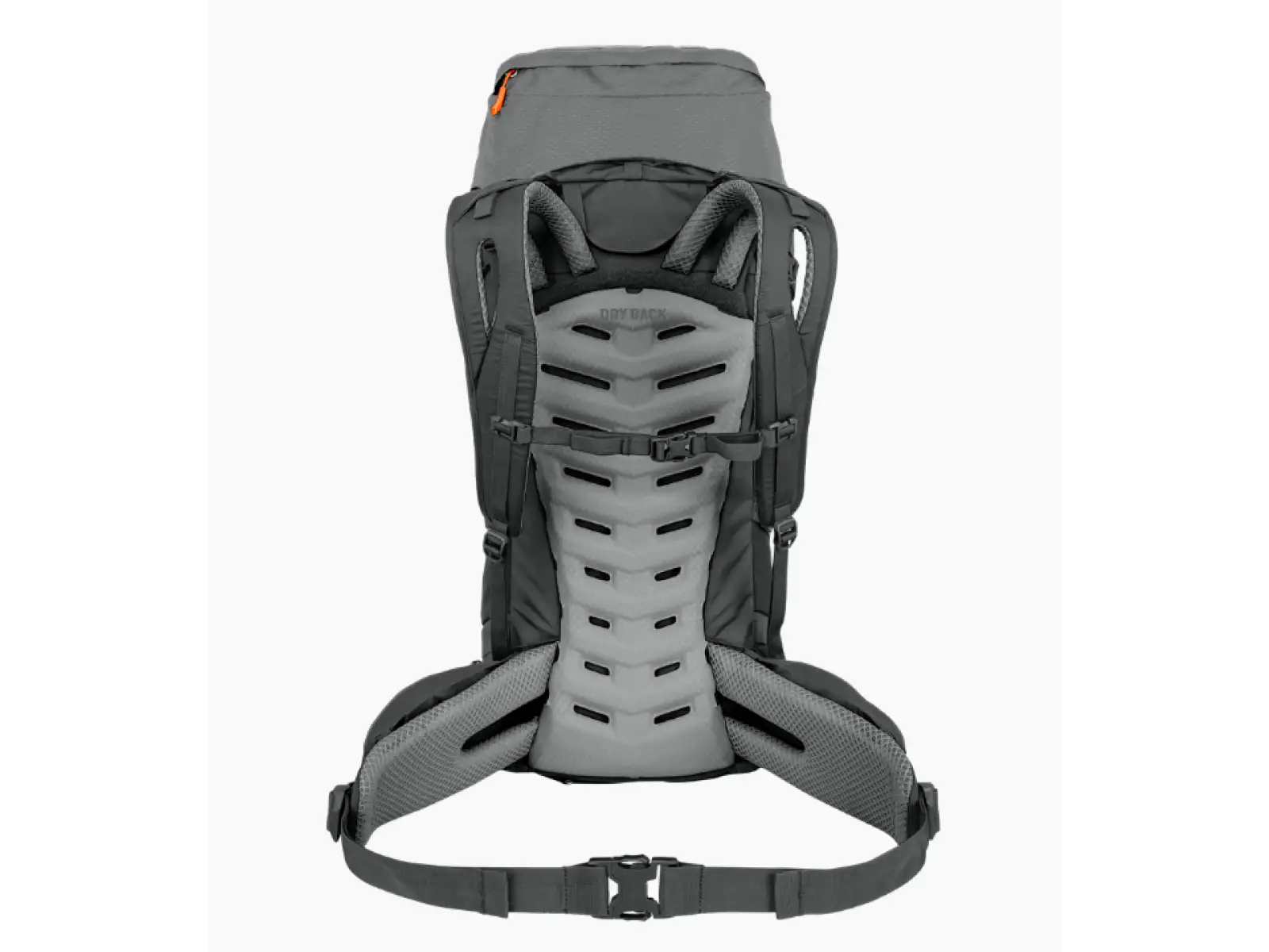 Salewa Alptrek Trekkingrucksack 42+5 l Shadow/Dark Olive