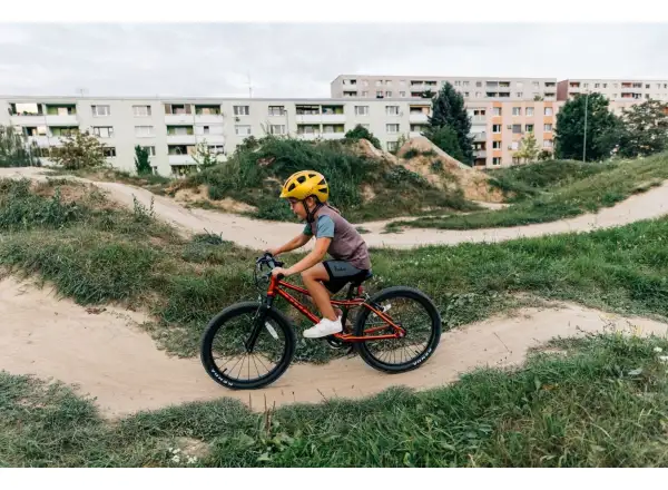 Rascal 20 Kinderfahrrad Gold