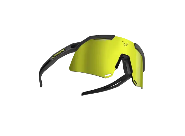 Dynafit Ultra Evo Brille Schwarz/Gold