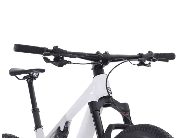 Superior XF 9.6 DC Mountainbike Gloss Grey/Light Grey