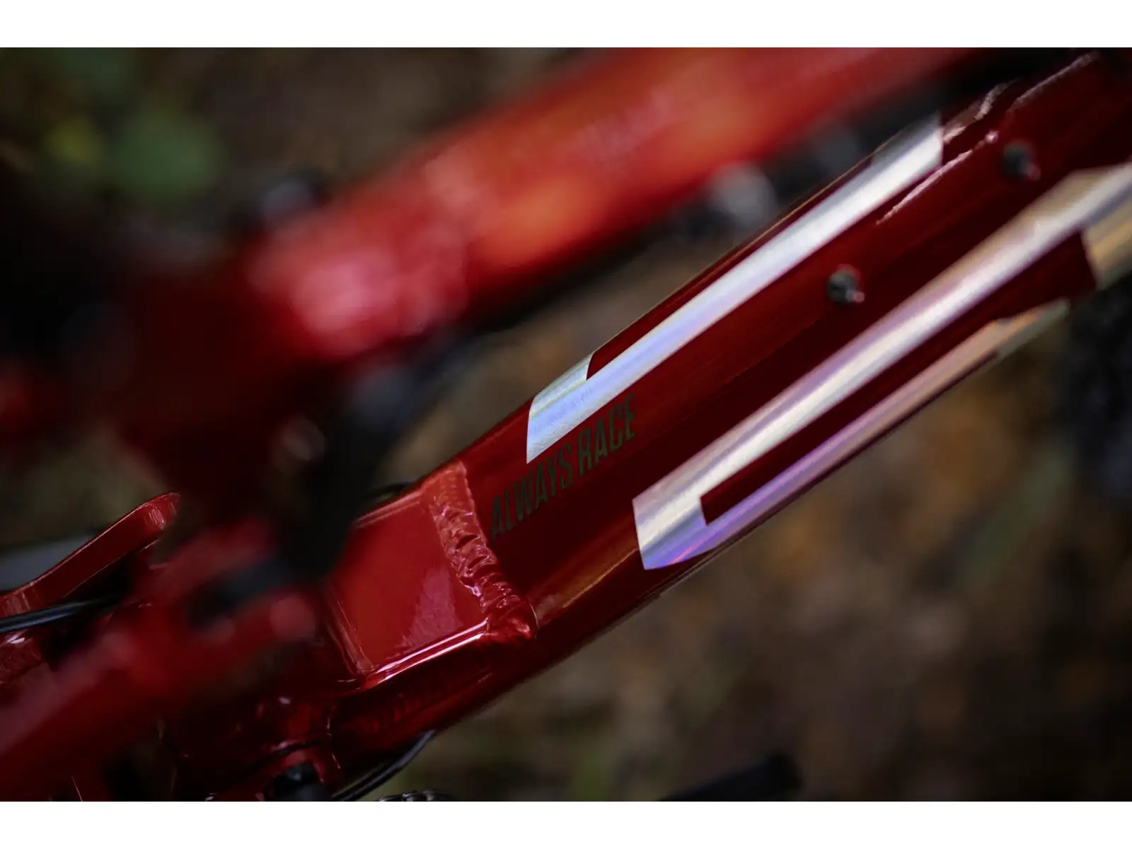Superior XF 919 RC Mountainbike Gloss Dark Red/Hologram Chrome