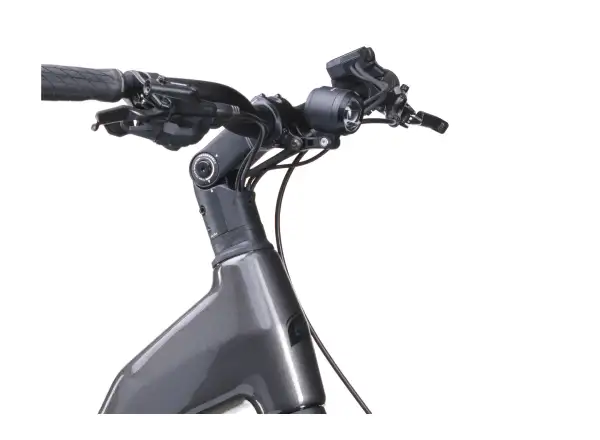 Crussis ONE-Country AX 8.12-M2(800) City-E-Bike