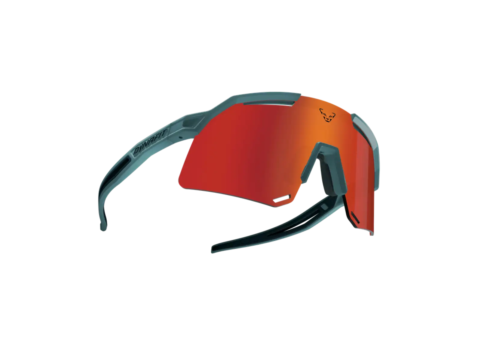 Dynafit Ultra Evo Brille Sturmblau/Heidelbeere