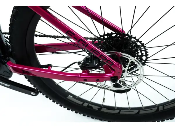 Crussis PAN Guera 10.9-M Elektro-Mountainbike