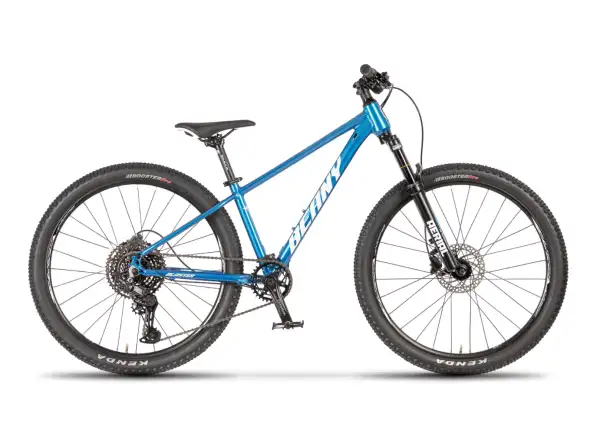 Beany Blaster 24 Kinderfahrrad blau