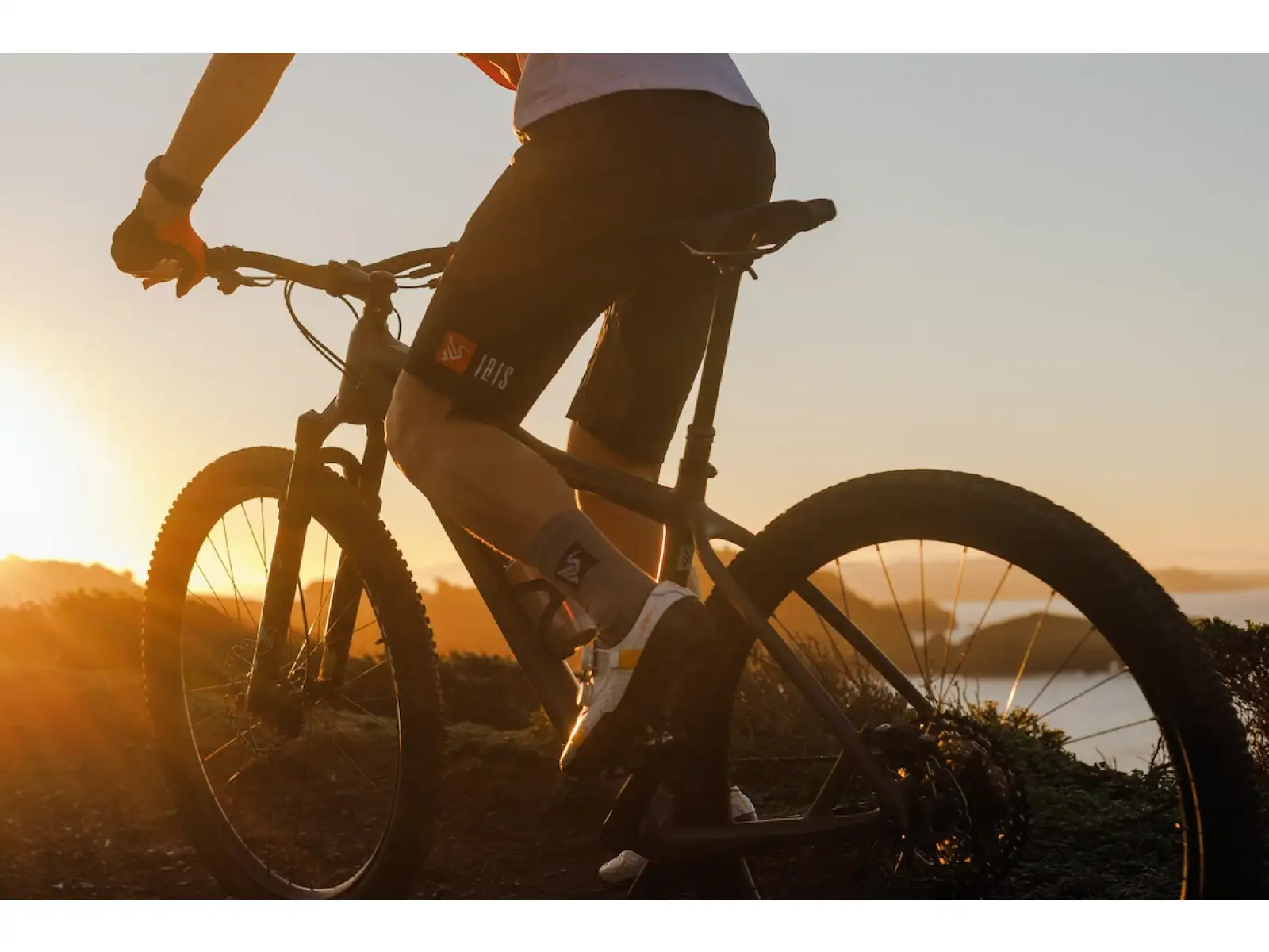 IBIS DV9 Deore XT Mountainbike Purple Crush