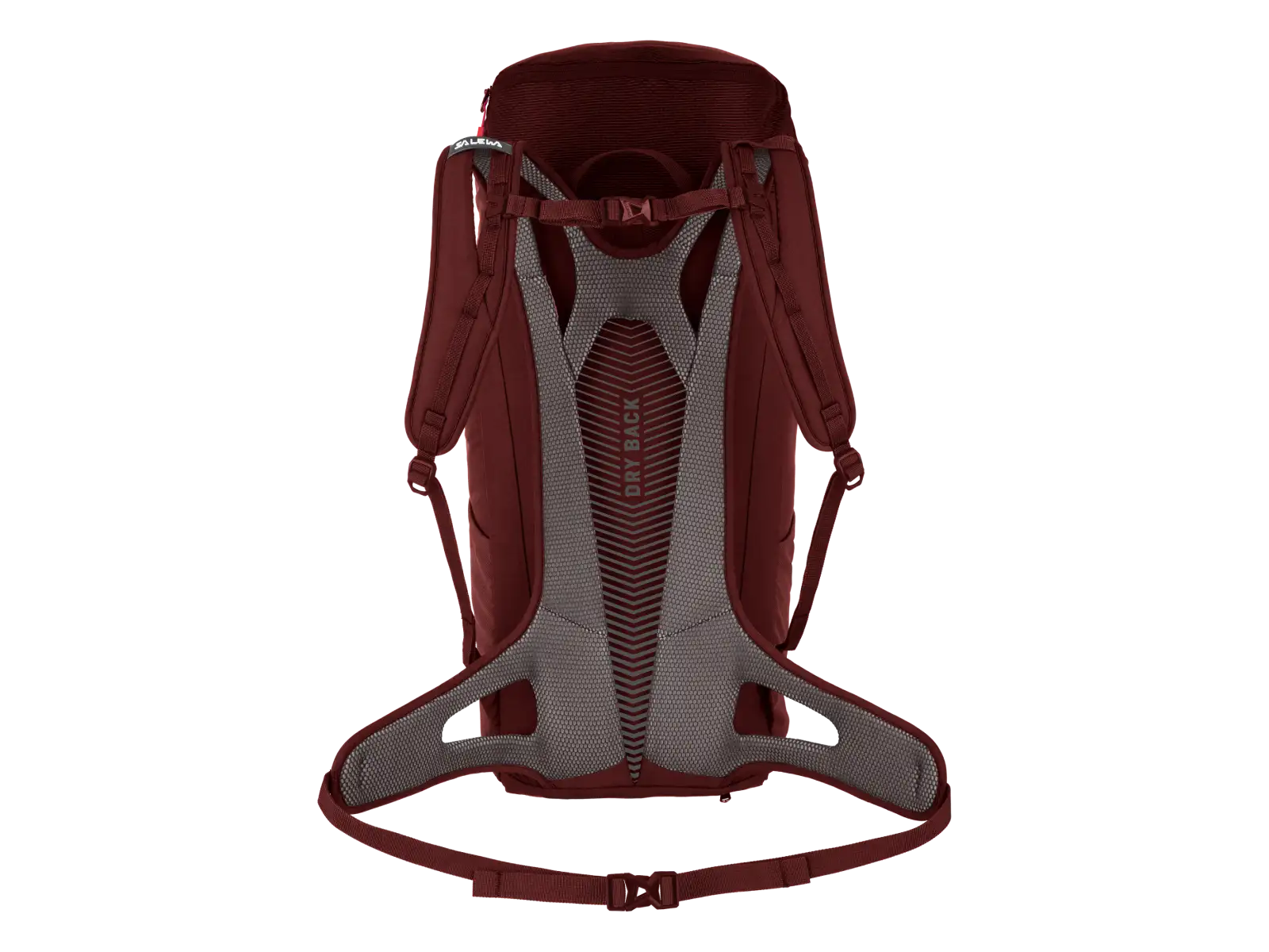 Salewa Alp Mate 24 Damenrucksack Syrah