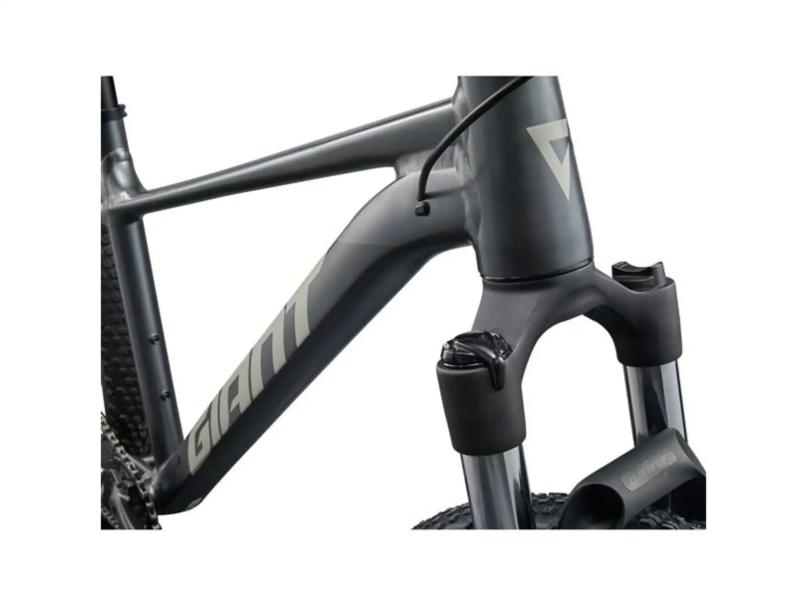 Giant Talon 29 1 Mountainbike Charcoal