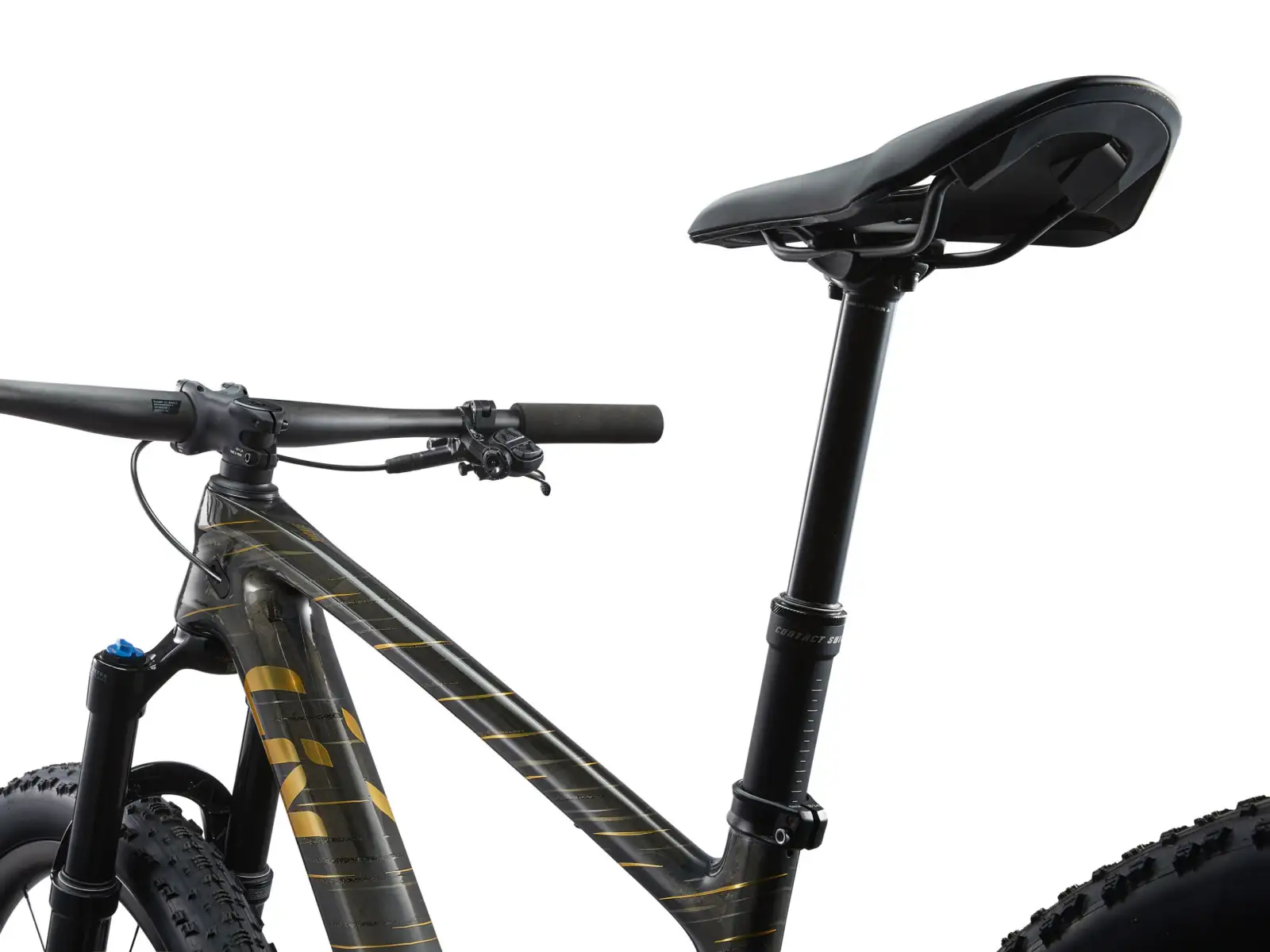Liv Pique Advanced 29 1 Mountainbike Raw Carbon