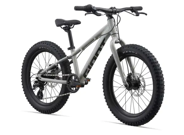 Giant STP 20 Kinderfahrrad Concrete