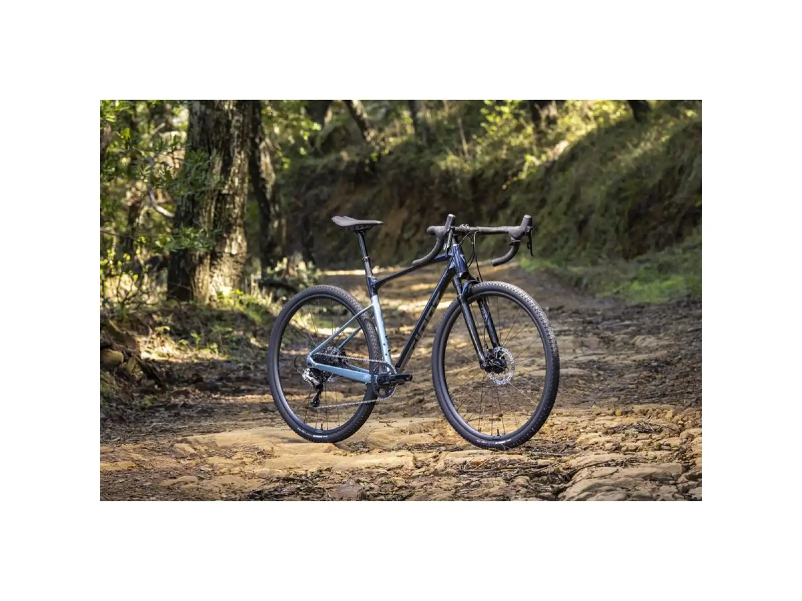 Giant Revolt X 1 Gravel Fahrrad cold night