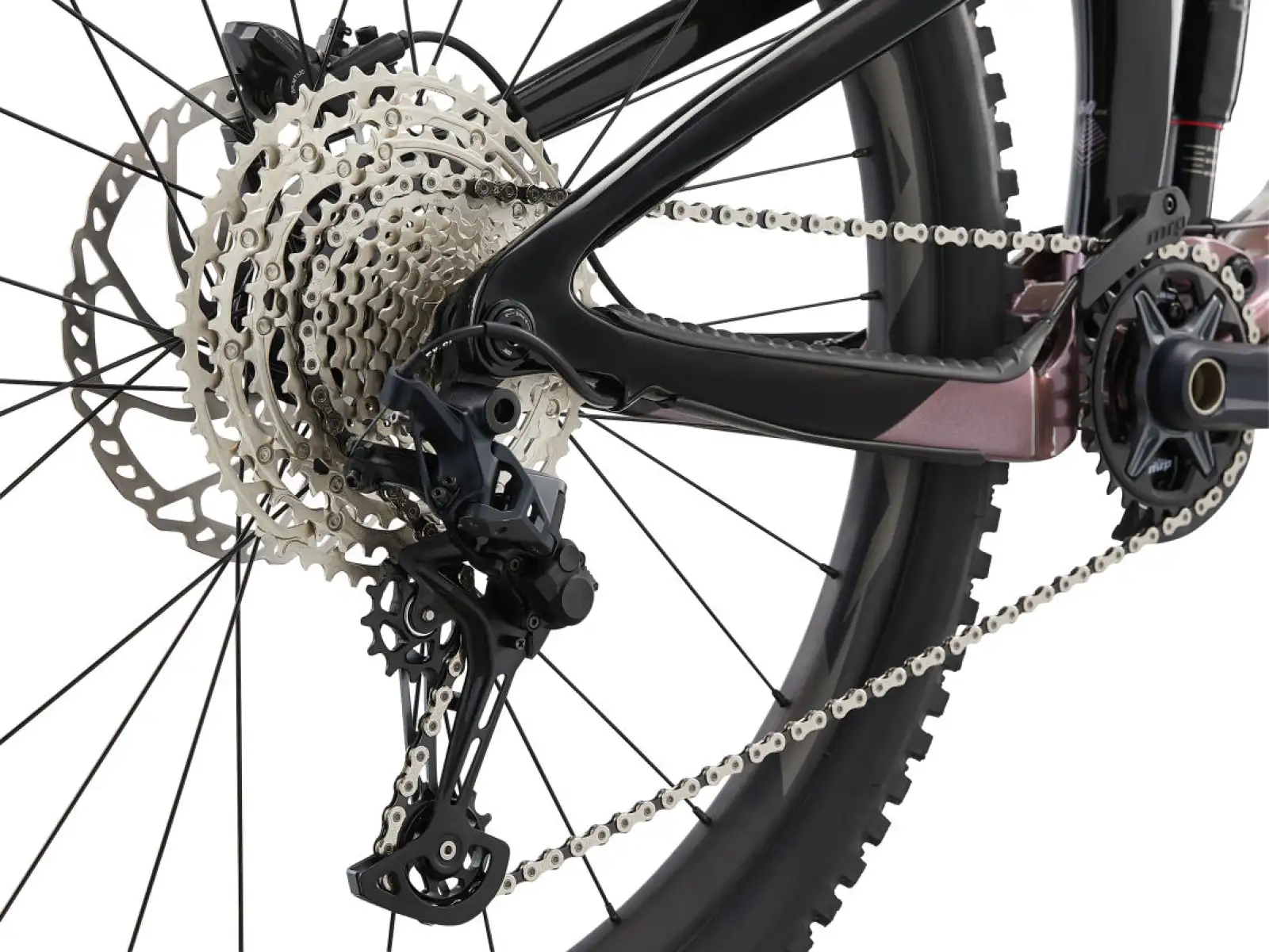 Giant Reign Advanced Pro 2 Mountainbike Orion Nebula/Carbon