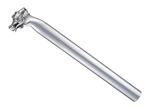 Ritchey Classic 2-Schrauben-Sattelstütze 27,2 mm Versatz 25 mm HP Silber