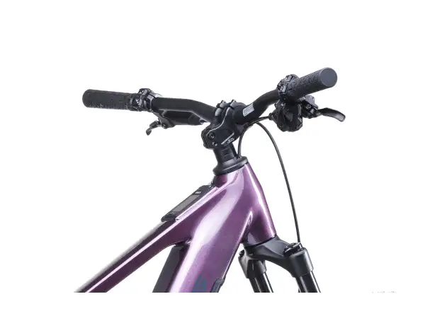 Crussis e-Fionna AX 9.12-M2(800) Mountain E-Bike