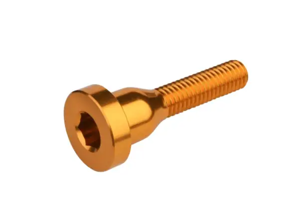 Burgtec Top Cap Schraube Stecker für den Steuersatz in Gold