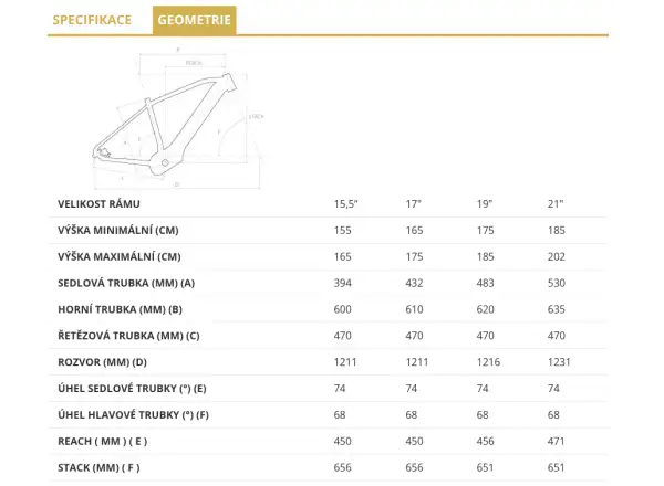 4EVER Exstream Elite Mountain-E-Bike Jungle Gold/Mirror