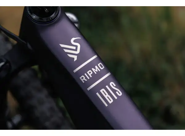 Ibis Ripmo V3 XT Di2 Mountainbike Heckleberry Purple