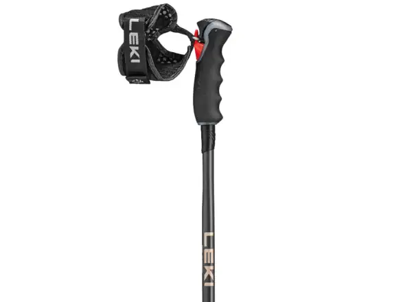 Leki Artena Airfoil 3D Skistöcke schwarz/dunkles Anthrazit/Roségold