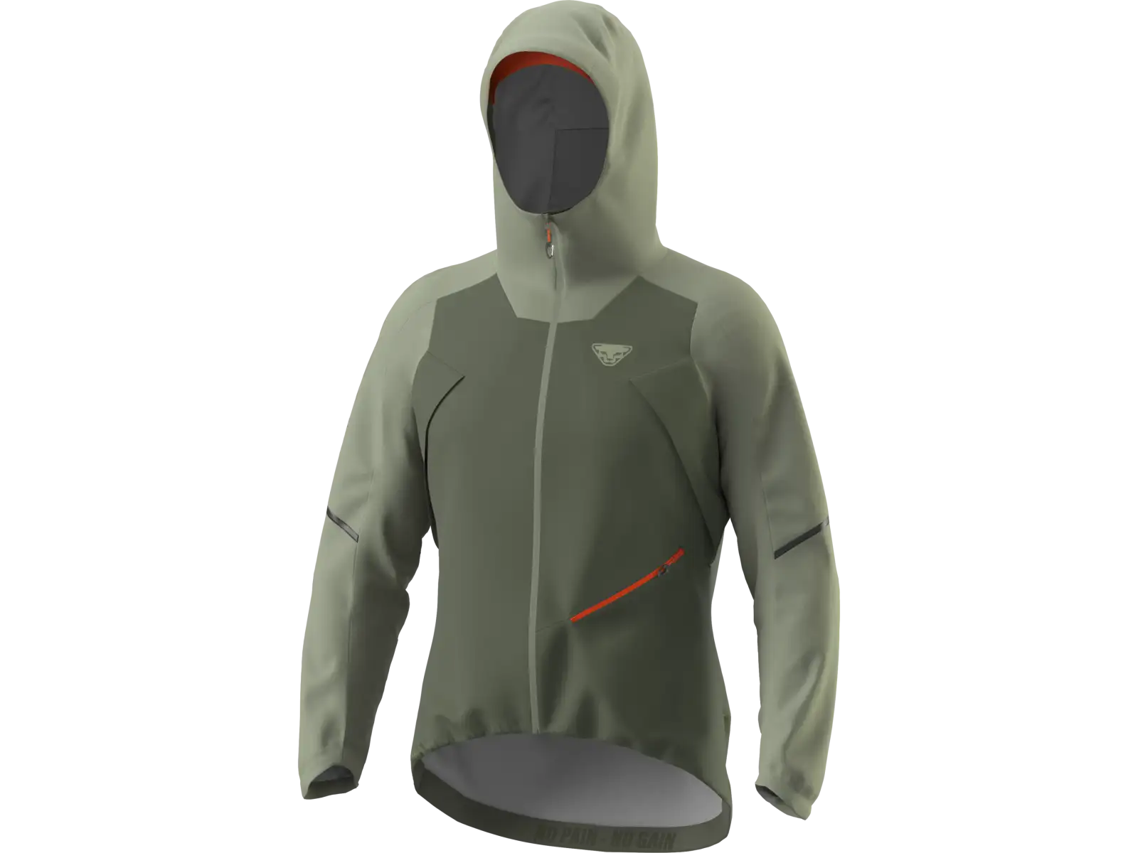 Dynafit Ride 3L Herrenjacke Salbei