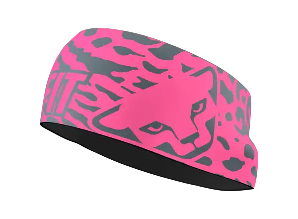 Dynafit Graphic Performance Stirnband Cabana/Gradient