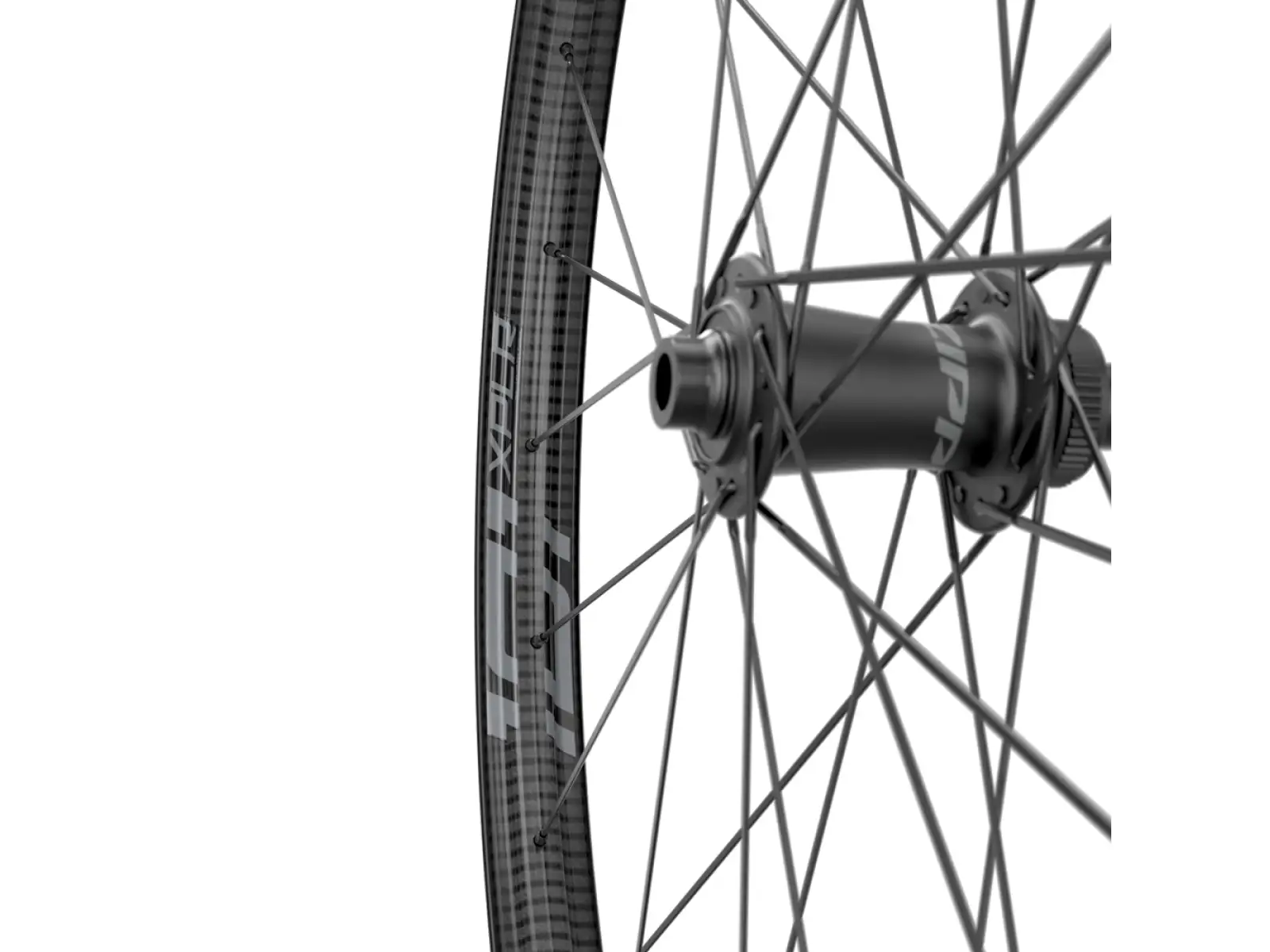Zipp 101 XPLR Carbon Disc Tubeless CenterLock Vorderrad 12x100 mm in Schwarz.