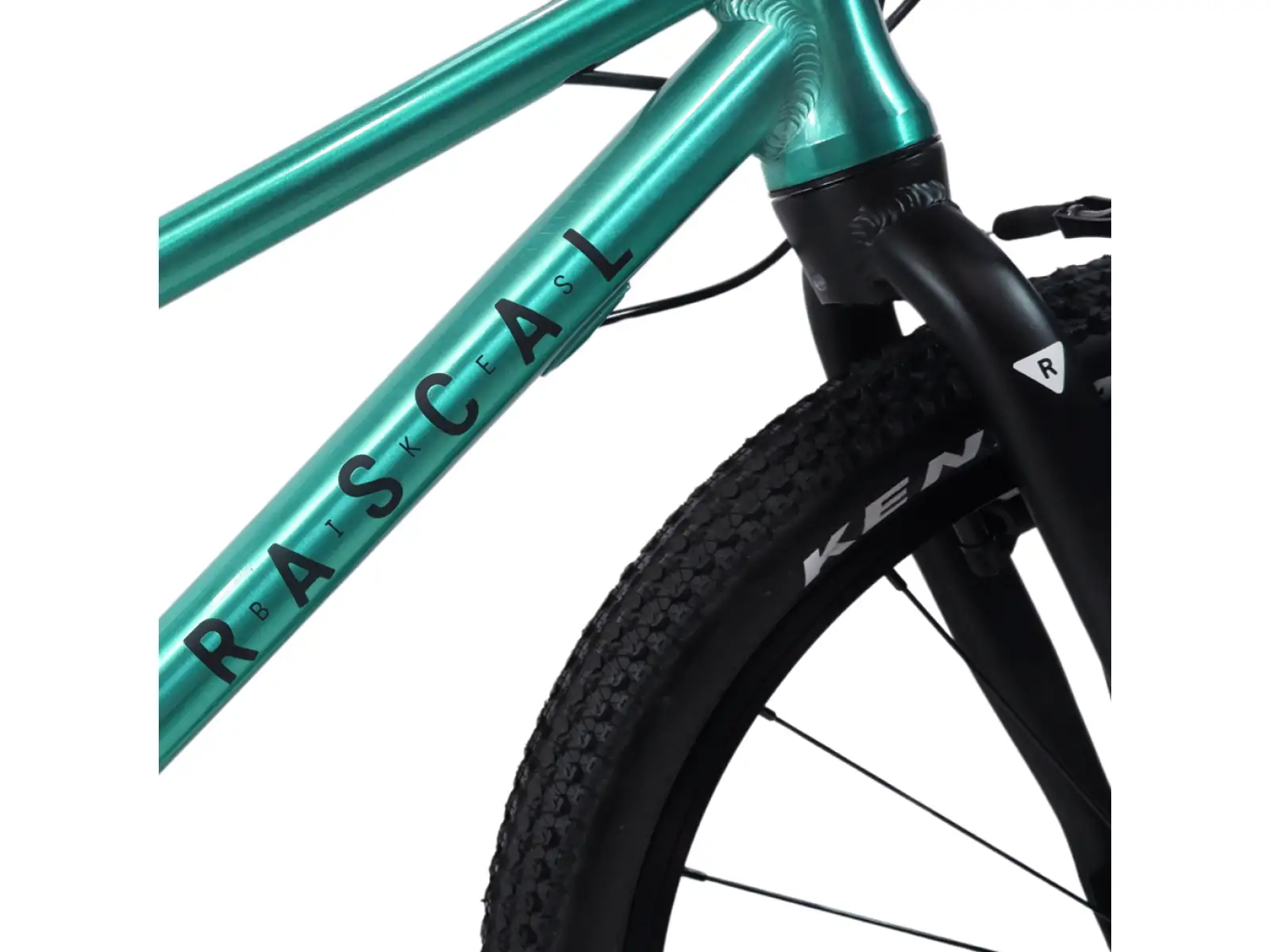Rascal 20 Limited Kinderfahrrad Emerald
