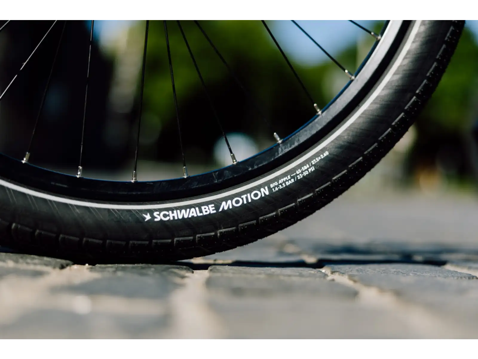 Schwalbe Motion Big Apple RaceGuard 20 Drahtreifen