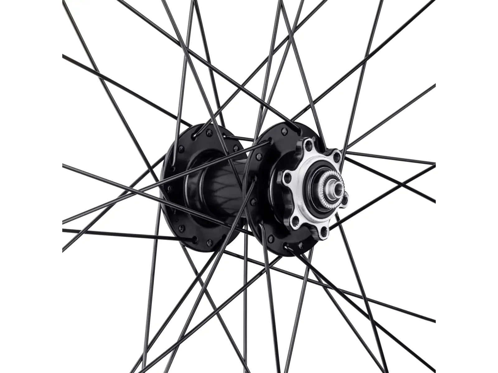 Force XC Disc 29" Vorderrad gebaut mit Force F80450 Nabe.