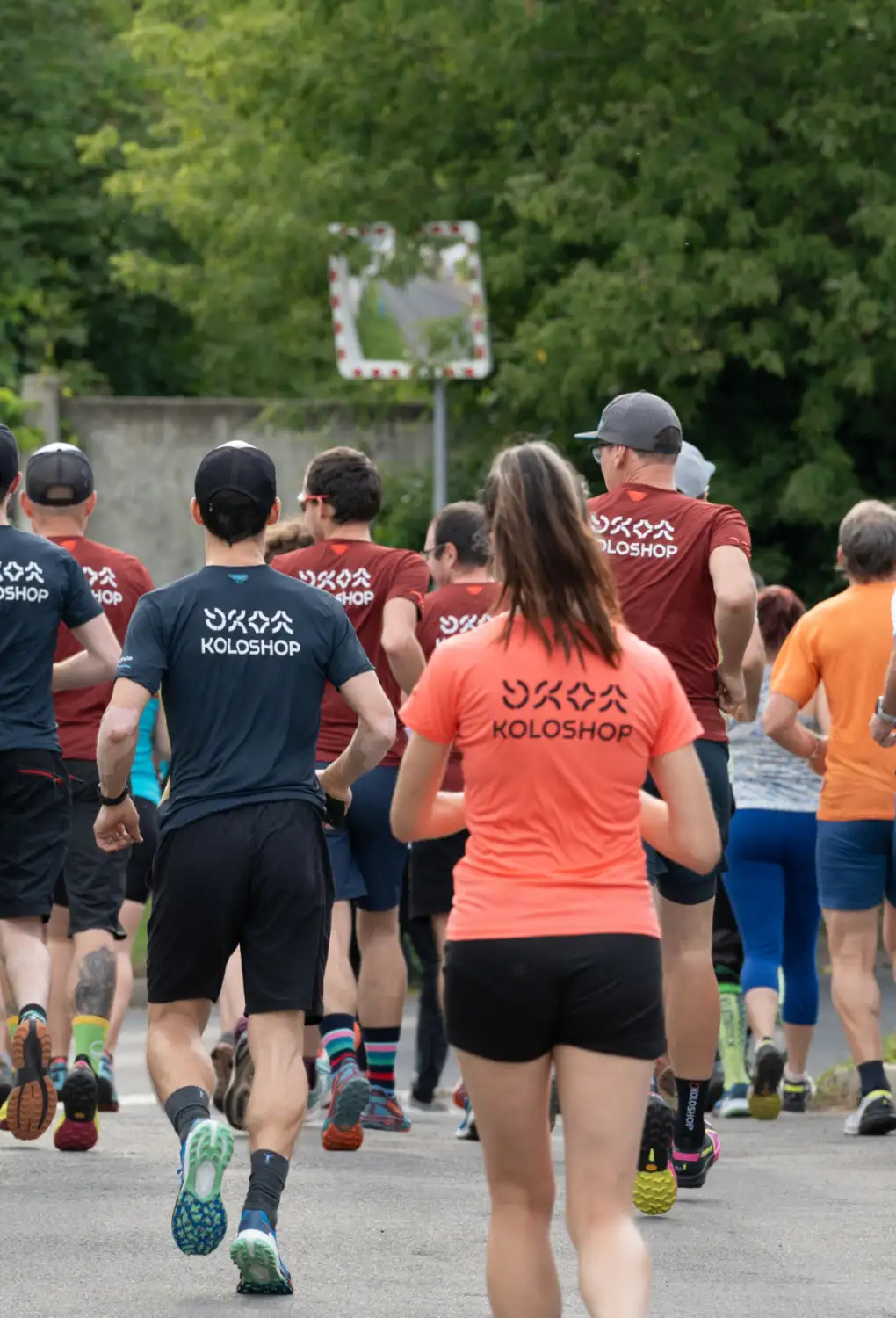 Dynafit oder Inov-8 Laufschuhe?