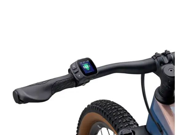 Liv Tempt E+ BOX E-Mountainbike Lunar Eclipse