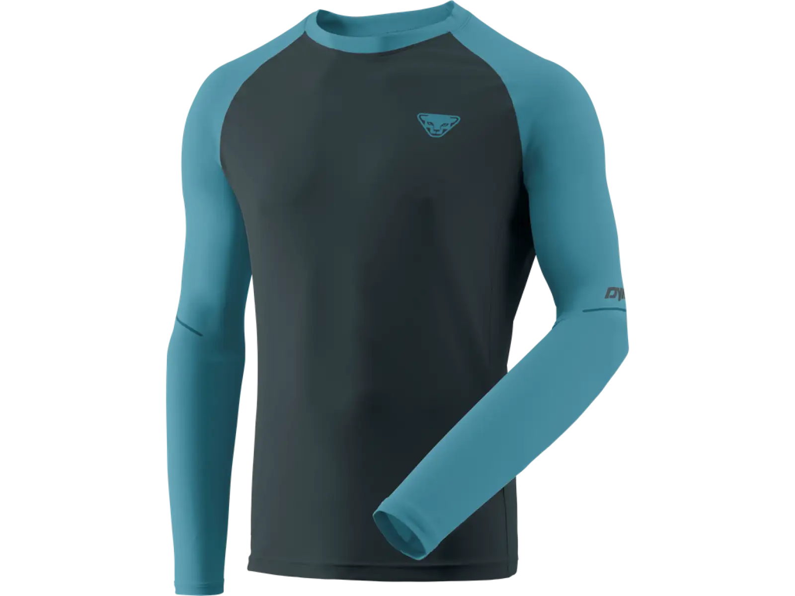 Dynafit Alpine Pro Herren Langarmshirt Blueberry/Storm Blue