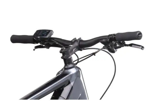 Crussis e-Gordo 7.10-M (720 Wh) Trekking E-Bike