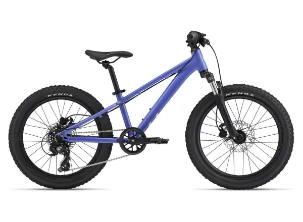 Giant STP 20 FS Liv Kinderfahrrad Dusted Peri