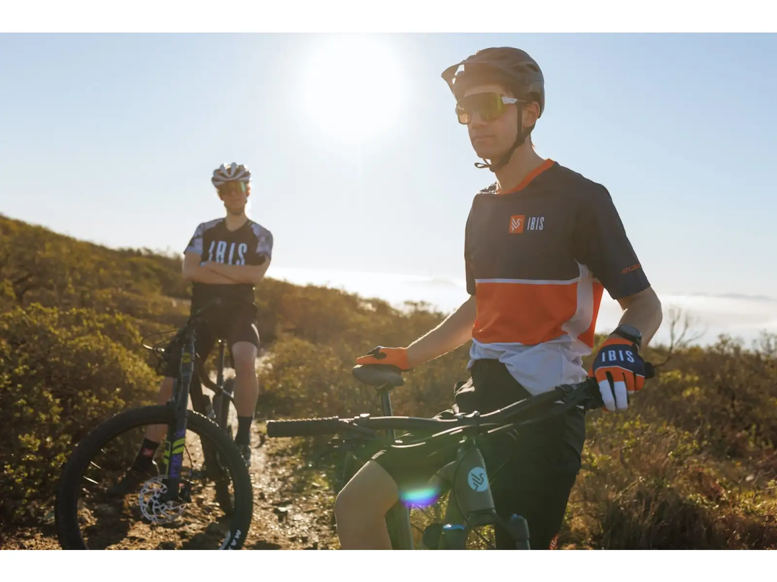 IBIS DV9 Deore XT Mountainbike Purple Crush