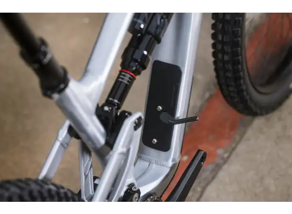 Ibis Ripmo AF Eagle 90 Mountainbike Rose