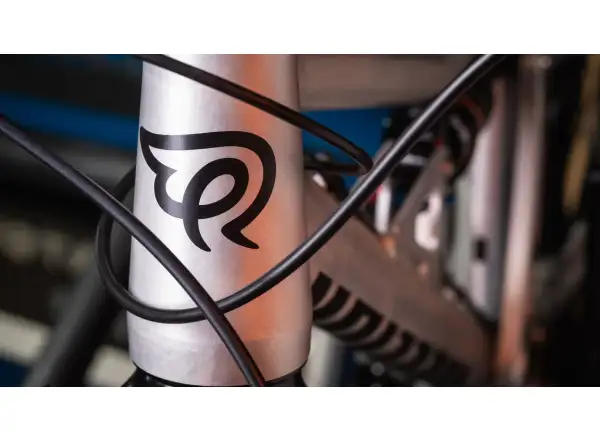 Early Rider Hellion X24 Kinderfahrrad Raw