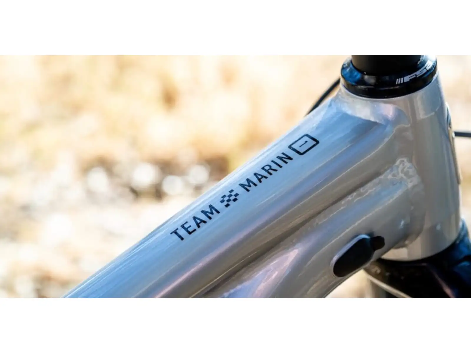 Marin Team Marin 1 29" Mountainbike Chrom/Schwarz