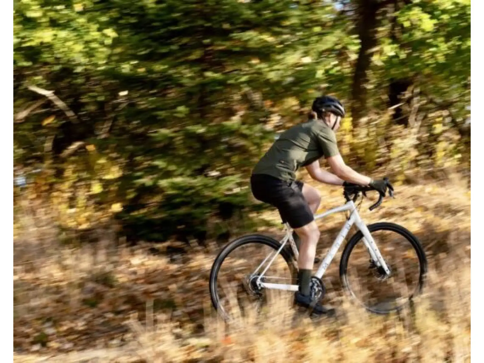 Marin Gestalt Gravel Bike Gloss Blue/Green