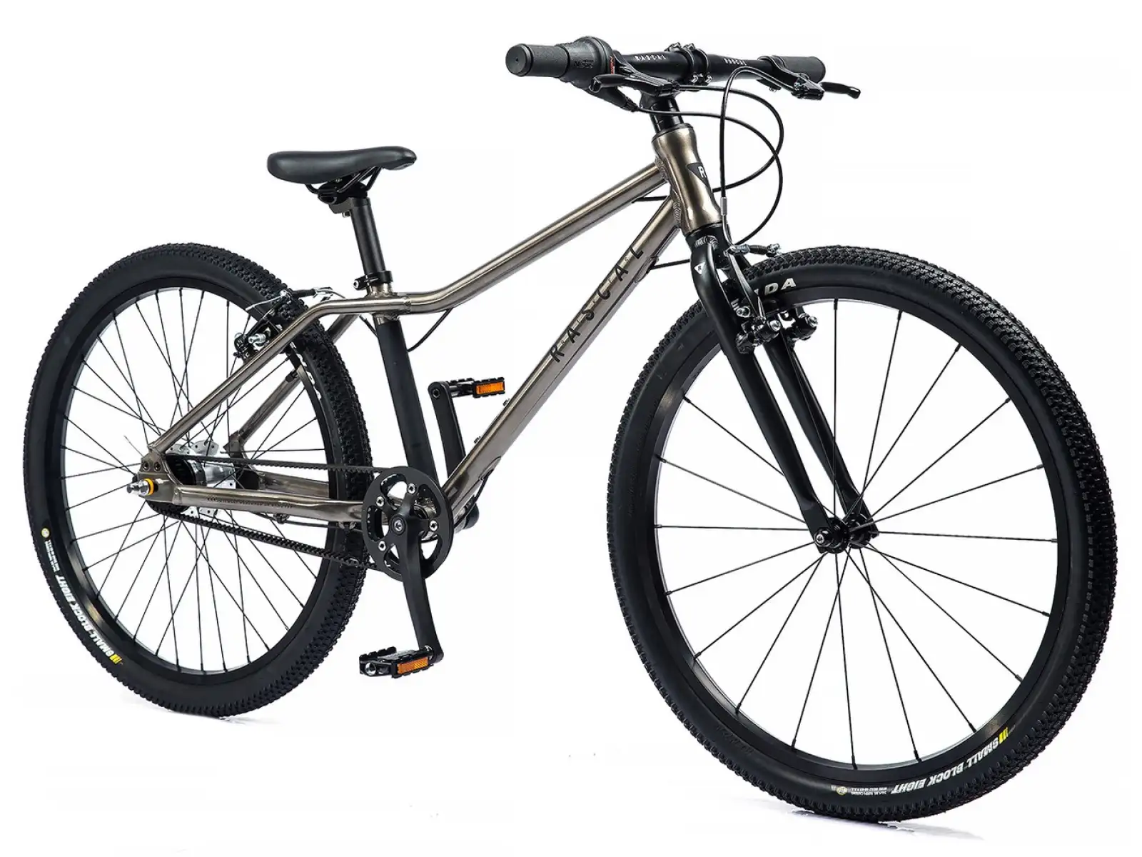 Rascal 26 7-Gang Shimano Nexus Kinderfahrrad in Titanium