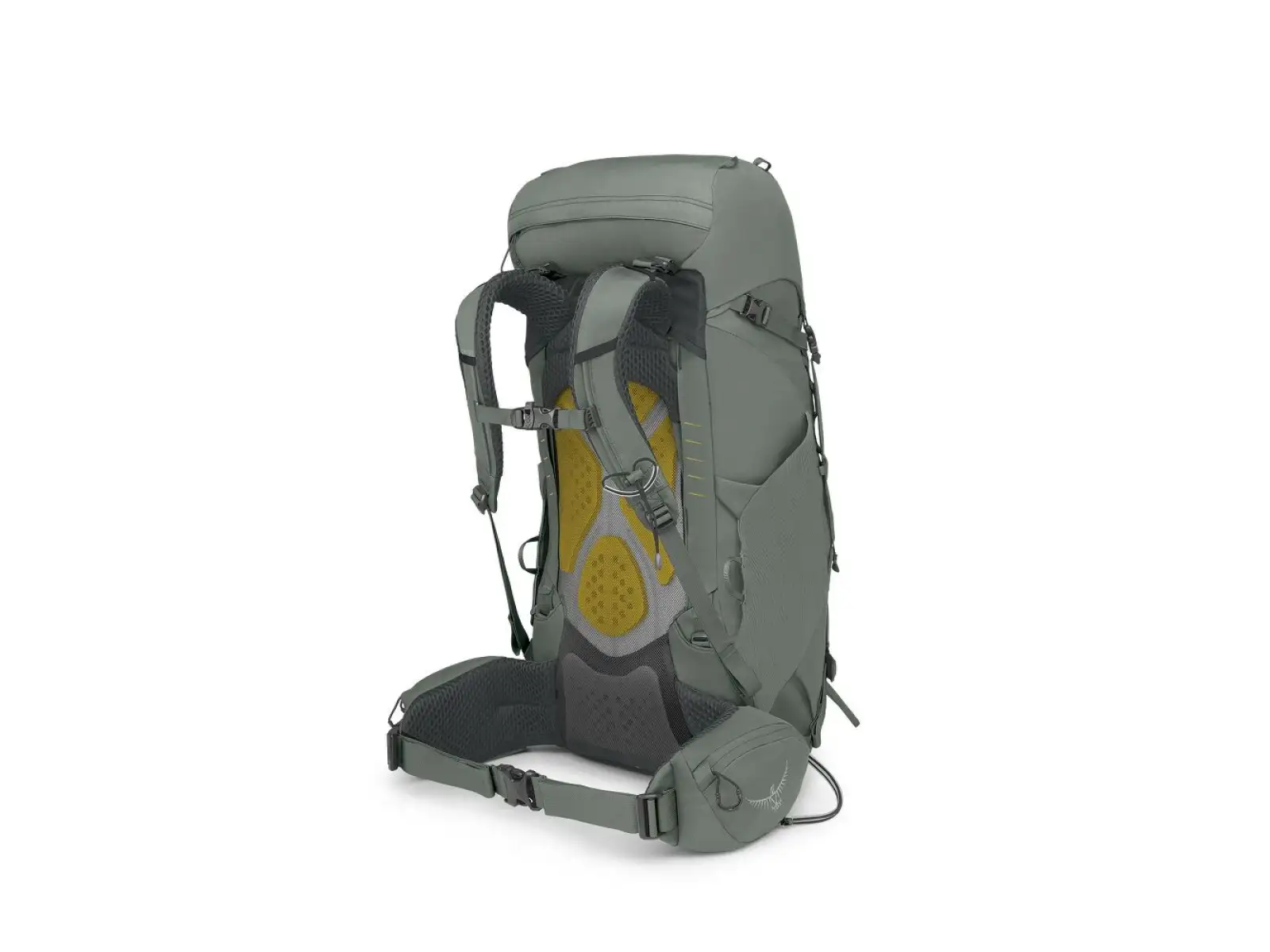 Osprey Kyte Rucksack 38 l Rocky brook green
