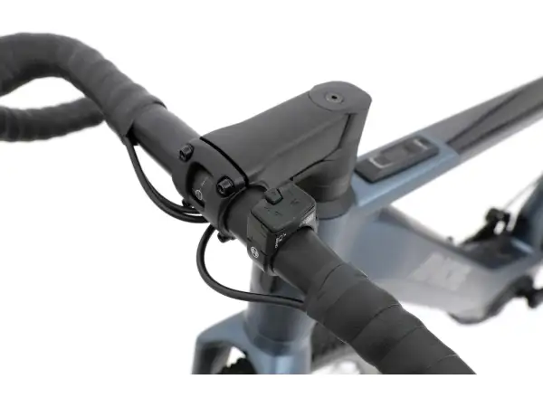 Apache Gila E-Gravelbike (Bosch SX)