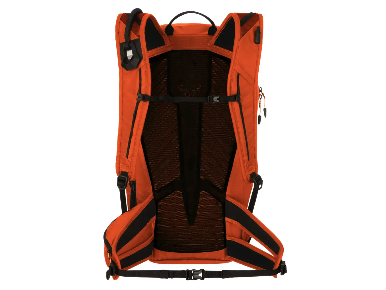 Dynafit Speed 24 Ski-Rucksack Alabama