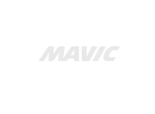 MAVIC Kassette Single Speed