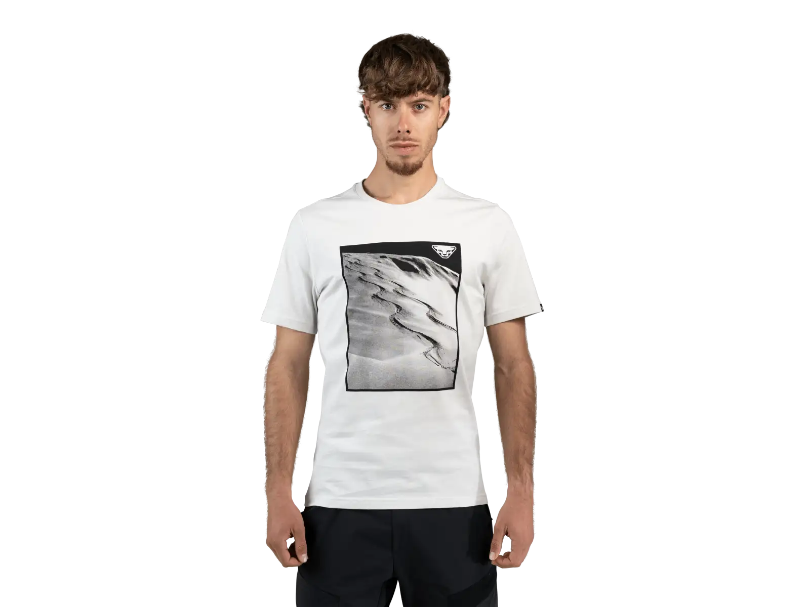 Dynafit Graphic Cotton Herren T-Shirt Kurzarm Nimbus/First Track