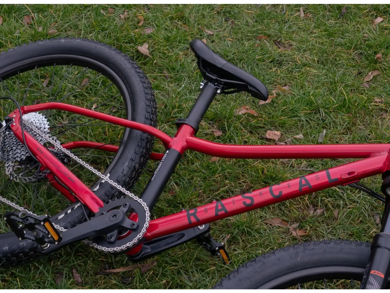 Rascal Wild 20 Kinderfahrrad Ruby Red