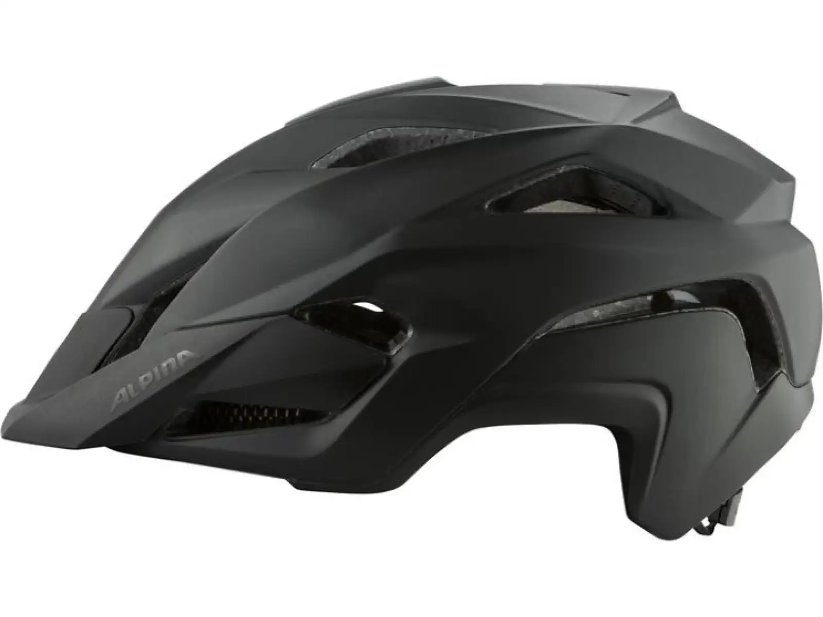 Alpina Kamloop Helm Black Matt