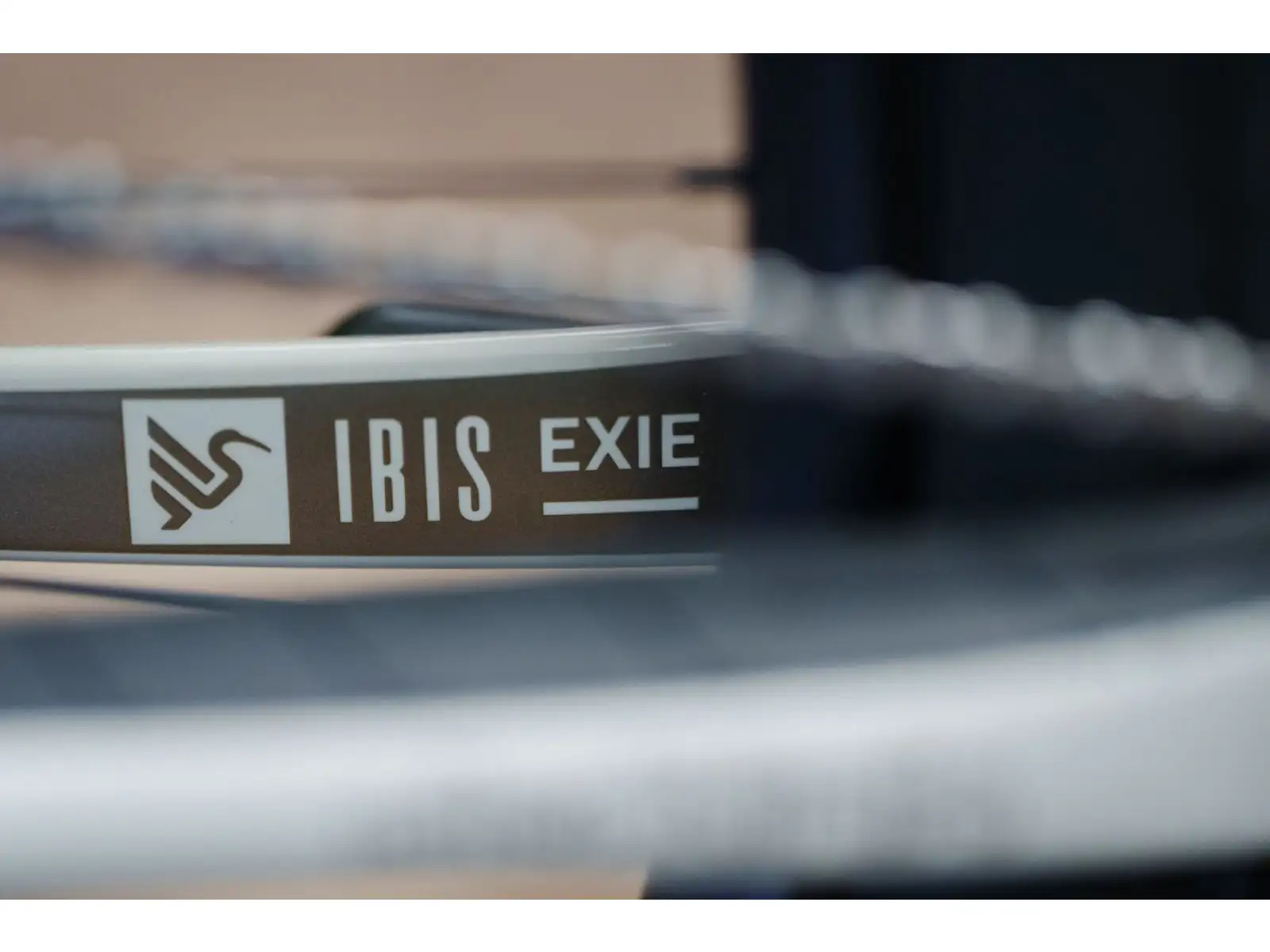 Ibis Exie V2 SLX 29" Mountainbike in Knochenfarbe.